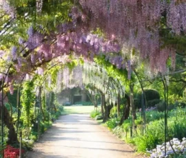 Le parc floral d'Apremont