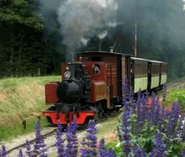 Le Train du Bas Berry dans l'Indre (36)