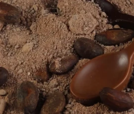 La chocolaterie Max Vauché
